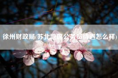 徐州财政局(苏北地区公务员待遇怎么样)