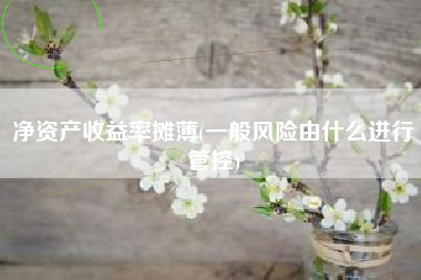 净资产收益率摊薄(一般风险由什么进行管控)