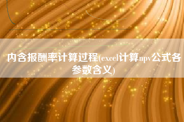 内含报酬率计算过程(excel计算npv公式各参数含义)