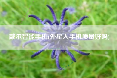 戴尔智能手机(外星人手机质量好吗)