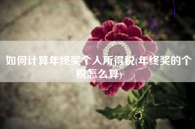 如何计算年终奖个人所得税(年终奖的个税怎么算)