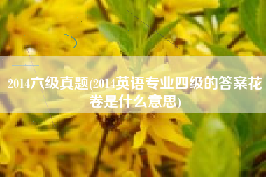 2014六级真题(2014英语专业四级的答案花卷是什么意思)