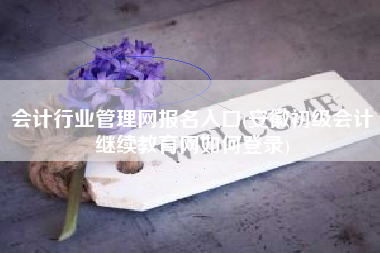 会计行业管理网报名入口(安徽初级会计继续教育网如何登录)