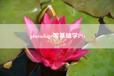 photoship(零基础学PS)