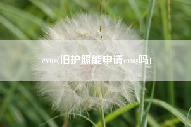 evus(旧护照能申请evus吗)