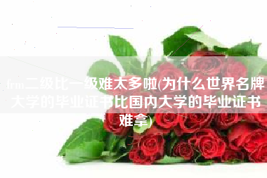 frm二级比一级难太多啦(为什么世界名牌大学的毕业证书比国内大学的毕业证书难拿)