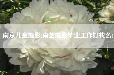 南京儿童摄影(南艺摄影毕业工作好找么)