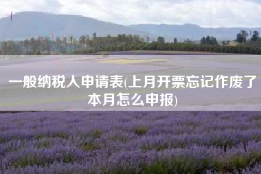 一般纳税人申请表(上月开票忘记作废了本月怎么申报)