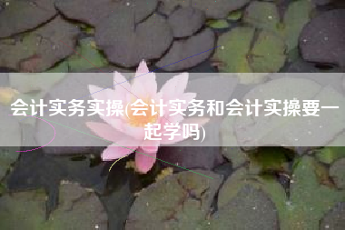 会计实务实操(会计实务和会计实操要一起学吗)