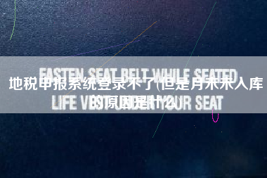 地税申报系统登录不了(但是月末未入库的原因是什么)