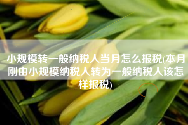 小规模转一般纳税人当月怎么报税(本月刚由小规模纳税人转为一般纳税人该怎样报税)