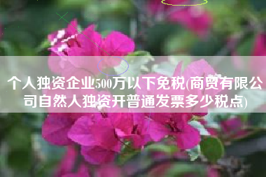 个人独资企业500万以下免税(商贸有限公司自然人独资开普通发票多少税点)