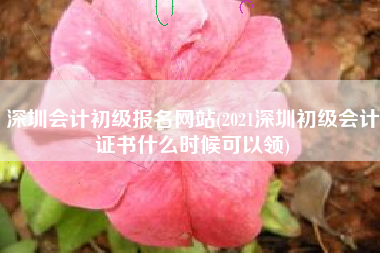 深圳会计初级报名网站(2021深圳初级会计证书什么时候可以领)