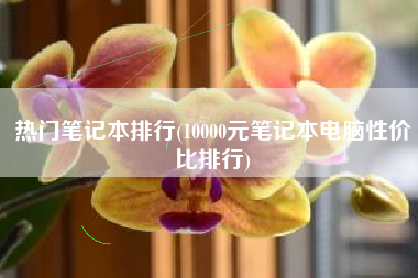 热门笔记本排行(10000元笔记本电脑性价比排行)