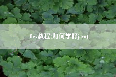 flex教程(如何学好java)
