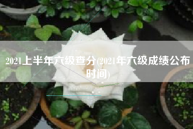 2021上半年六级查分(2021年六级成绩公布时间)