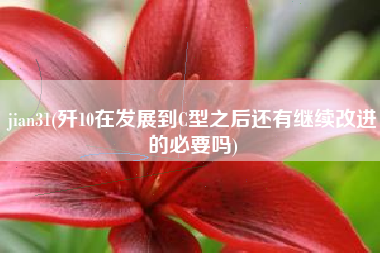 jian31(歼10在发展到C型之后还有继续改进的必要吗)