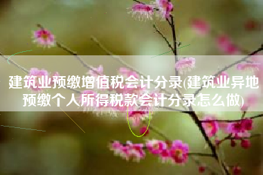 建筑业预缴增值税会计分录(建筑业异地预缴个人所得税款会计分录怎么做)