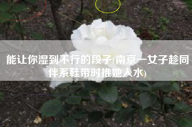 能让你湿到不行的段子(南京一女子趁同伴系鞋带时推她入水)