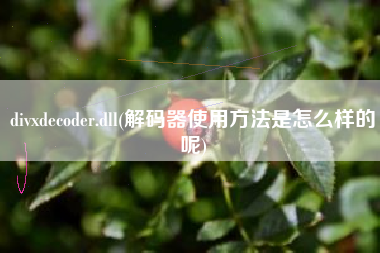 详细阅读:divxdecoder.dll(解码器使用方法是怎么样的呢) divxdecoder.dll(解码器使用方法是怎么样的呢)
