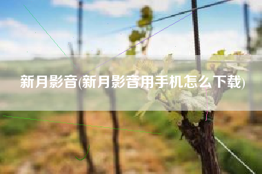 详细阅读:新月影音(新月影音用手机怎么下载) 新月影音(新月影音用手机怎么下载)