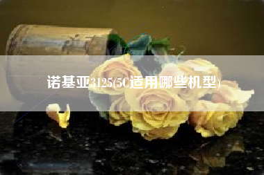 详细阅读:诺基亚3125(5C适用哪些机型) 诺基亚3125(5C适用哪些机型)