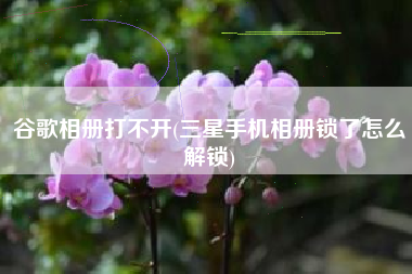 谷歌相册打不开(三星手机相册锁了怎么解锁)