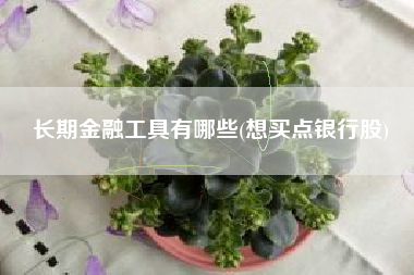 长期金融工具有哪些(想买点银行股)