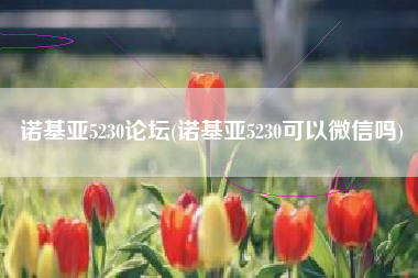 诺基亚5230论坛(诺基亚5230可以微信吗)