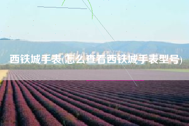 西铁城手表(怎么查看西铁城手表型号)