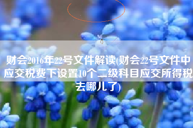 财会2016年22号文件解读(财会22号文件中应交税费下设置10个二级科目应交所得税去哪儿了)