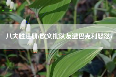 八大胜注册(欧文批队友遭巴克利怒怼)