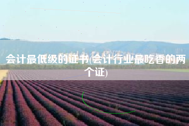 详细阅读:会计最低级的证书(会计行业最吃香的两个证) 会计最低级的证书(会计行业最吃香的两个证)