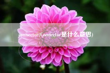 详细阅读:connector(Connector是什么意思) connector(Connector是什么意思)