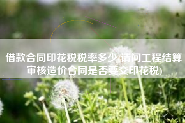 详细阅读:借款合同印花税税率多少(请问工程结算审核造价合同是否要交印花税) 借款合同印花税税率多少(请问工程结算审核造价合同是否要交印花税)