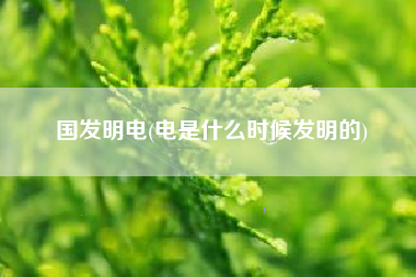 详细阅读:国发明电(电是什么时候发明的) 国发明电(电是什么时候发明的)