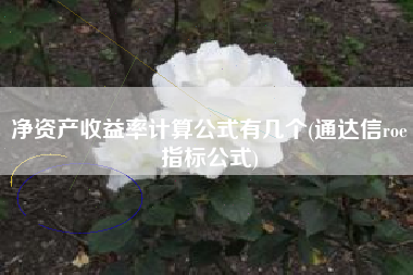 详细阅读:净资产收益率计算公式有几个(通达信roe指标公式) 净资产收益率计算公式有几个(通达信roe指标公式)