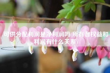 详细阅读:可供分配利润是净利润吗(所有者权益和利润有什么关系) 可供分配利润是净利润吗(所有者权益和利润有什么关系)