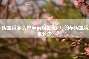 详细阅读:购置税怎么算车辆购置税(6万的车购置税是多少) 购置税怎么算车辆购置税(6万的车购置税是多少)