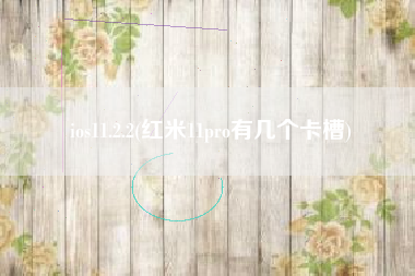 详细阅读:ios11.2.2(红米11pro有几个卡槽) ios11.2.2(红米11pro有几个卡槽)