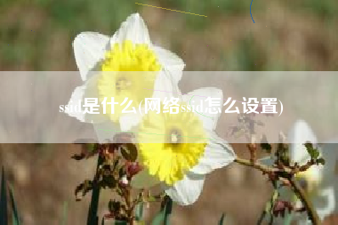 详细阅读:ssid是什么(网络ssid怎么设置) ssid是什么(网络ssid怎么设置)