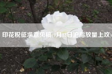 印花税征求意见稿(9月18日沪指放量上攻)