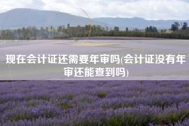 现在会计证还需要年审吗(会计证没有年审还能查到吗)