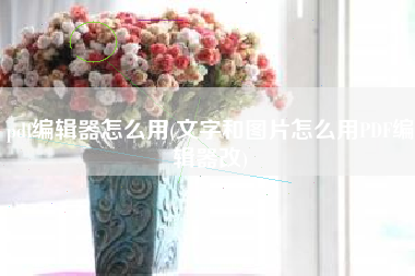 详细阅读:pdf编辑器怎么用(文字和图片怎么用PDF编辑器改) pdf编辑器怎么用(文字和图片怎么用PDF编辑器改)