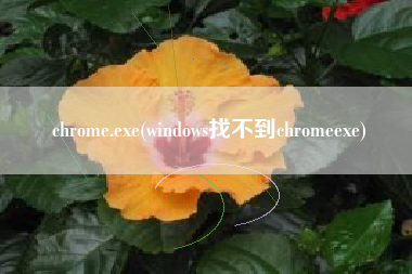详细阅读:chrome.exe(windows找不到chromeexe) chrome.exe(windows找不到chromeexe)