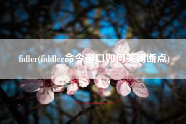 详细阅读:fidler(fiddler命令窗口如何关闭断点) fidler(fiddler命令窗口如何关闭断点)