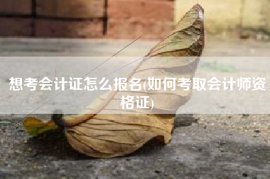 详细阅读:想考会计证怎么报名(如何考取会计师资格证) 想考会计证怎么报名(如何考取会计师资格证)