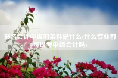 报名会计中级的条件是什么(什么专业都可以考中级会计吗)