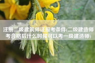 注册二级建筑师证报考条件(二级建造师考合格后什么时候可以考一级建造师)