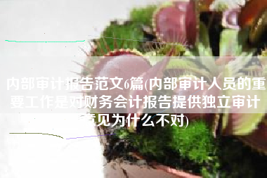 内部审计报告范文6篇(内部审计人员的重要工作是对财务会计报告提供独立审计意见为什么不对)
